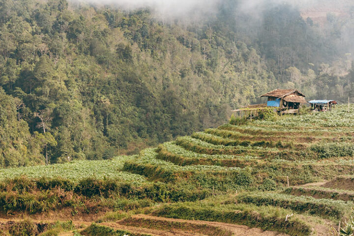 Sapa - Vietnam: 9 Tipps zum Trekking in der faszinierenden Bergwelt