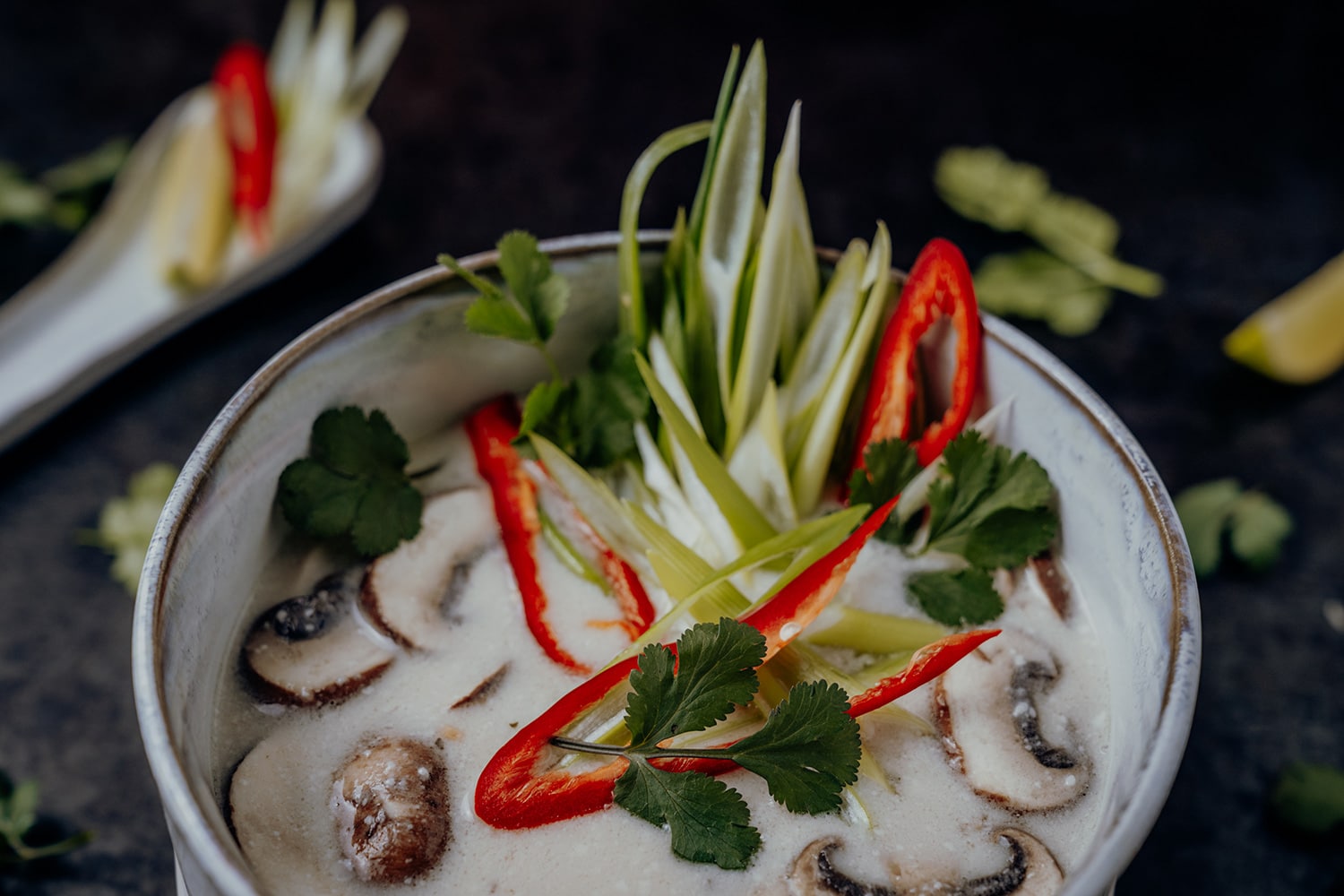 Tom Kha Gai – thailändische Hühnersuppe mit Kokosmilch