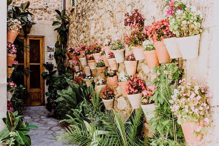Urlaub auf Mallorca – Ein Ausflug nach Valldemossa