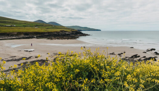 Wild Atlantic Way: 8 Schöne Orte & Sehenswürdigkeiten entlang der irischen Küstenstraße