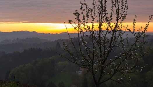 PURESLeben – Auszeit im Ferienhaus in der Südsteiermark