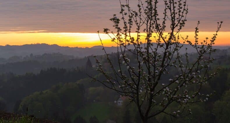 Steiermark