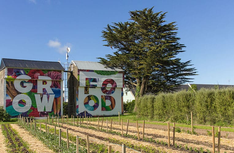 Ballymaloe Farm, Irland