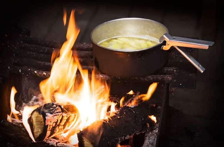 Wild Food Cooking in Finnland