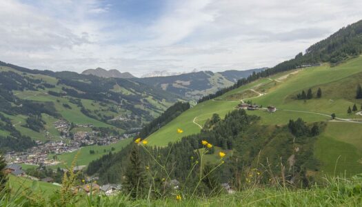 Natur & Genuss Pur in Saalbach-Hinterglemm