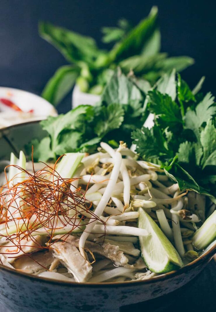 Pho Ga Rezept – Vietnamesische Nudelsuppe mit Huhn | Reisehappen