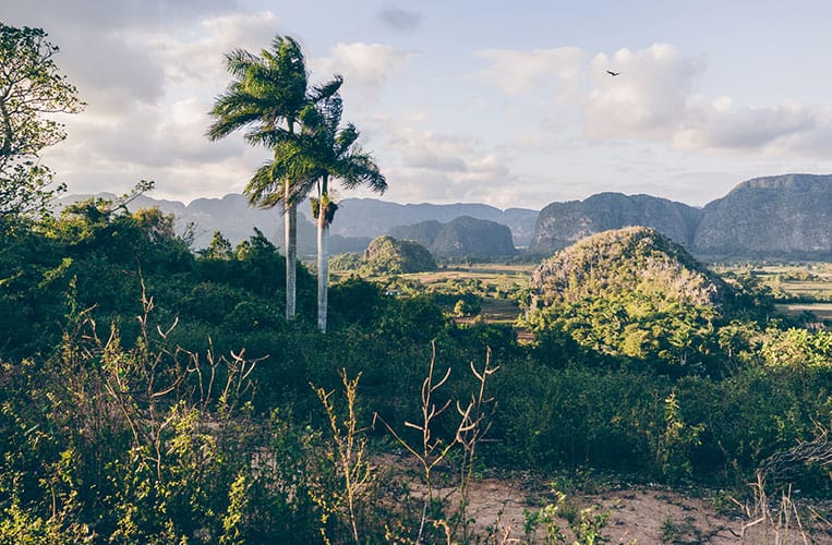 Kuba: Das pittoreske Viñales-Tal