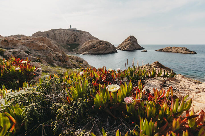 Halbinsel Île de la Pietra, L'Île-Rousse, Korsika