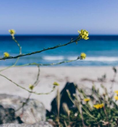Die 5 schönsten Strände in der Balagne {Korsika}