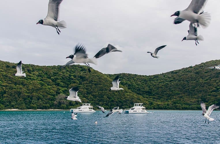 British Virgin Islands – Ein Segeltörn ins Paradies