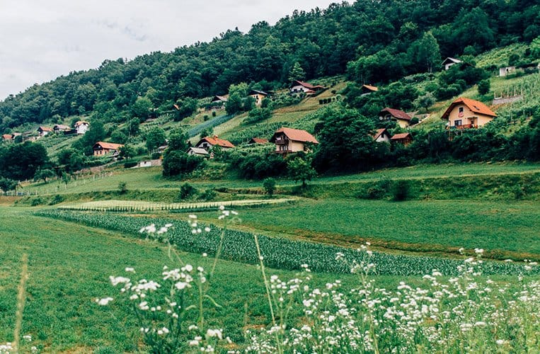 Weinberghäuschen Dolenjska – Slowenien