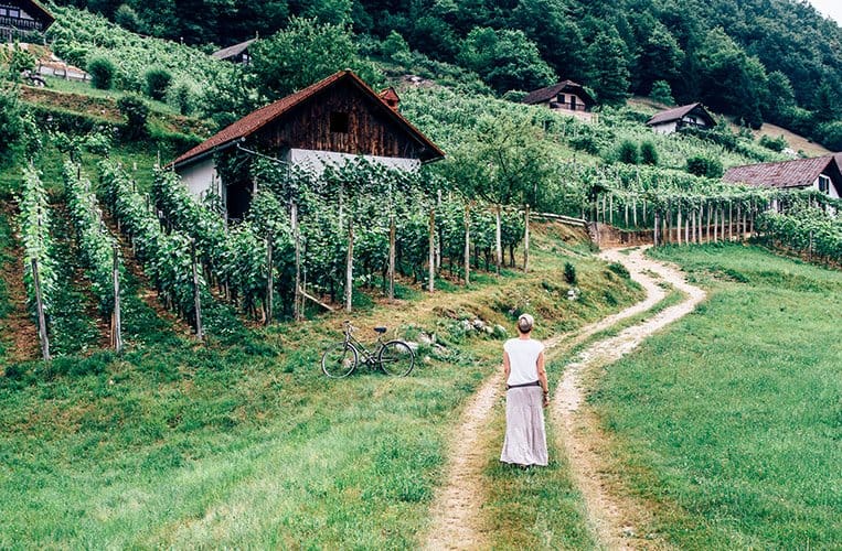 Weinberghäuschen Dolenjska – Slowenien