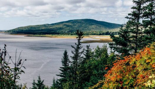 Bay of Fundy– Highlight in New Brunswick