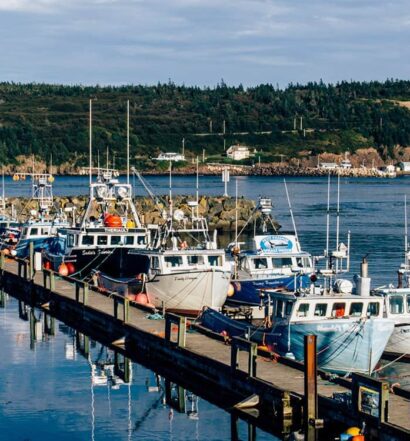 Digby – Nova Scotia: von Scallops, Naturwundern und Buckelwalen