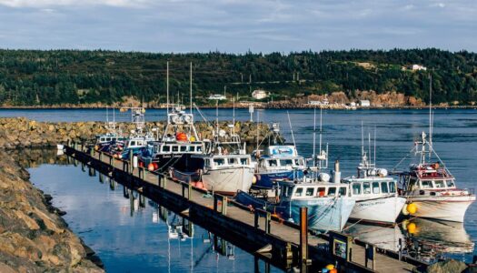 Digby – Nova Scotia: von Scallops, Naturwundern und Buckelwalen