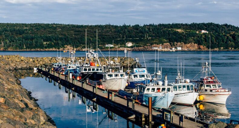 Digby – Nova Scotia: von Scallops, Naturwundern und Buckelwalen