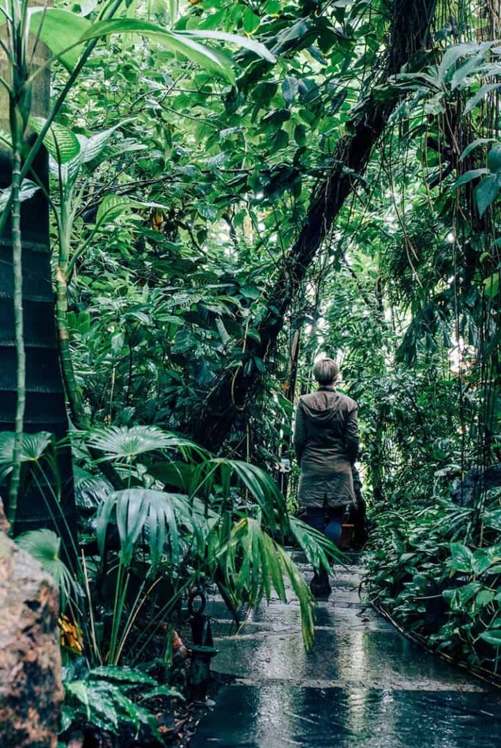 Der Botanische Garten Erlangen