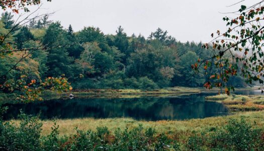 Kejimkujik Nationalpark – Bezaubernde Tage und magische Nächte