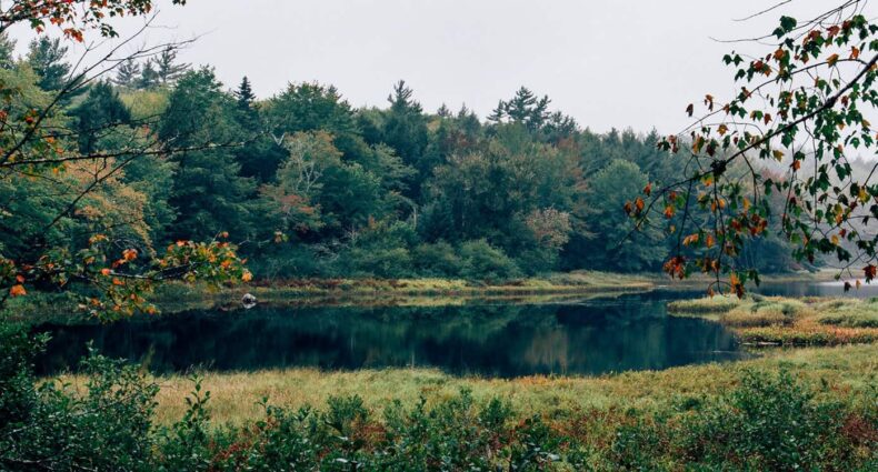 Bezaubernde Tage und magische Nächte im Kejimkujik National Park