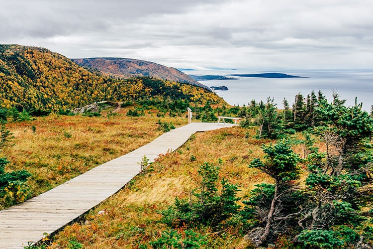 Der Skyline Trail – wo die Berge auf das Meer treffen