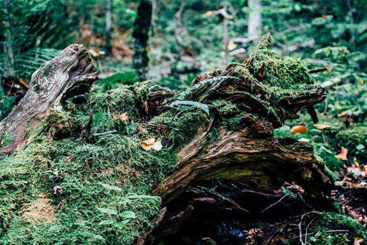 Uisge Ban Falls Provincial Park