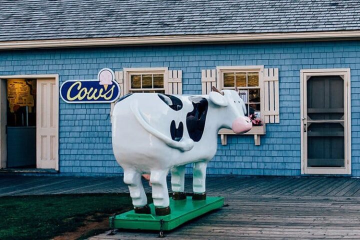 COWS