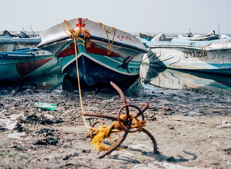 Der Fischmarkt in Jaffna