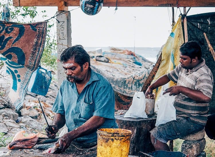 Der Fischmarkt in Jaffna