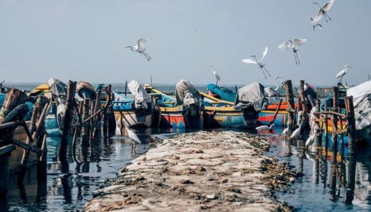 Jaffna in Sri Lanka – Sehenswürdigkeiten & Highlights im unbekannten Norden