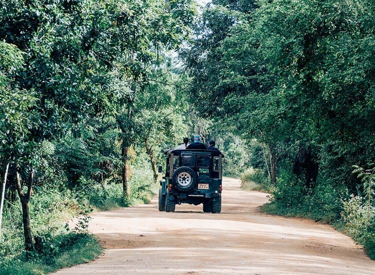Safari im Kaudulla National Park