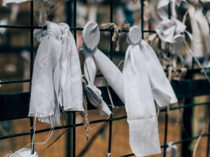 Der heilige Baum – Jaya Sri Maha Bodhi