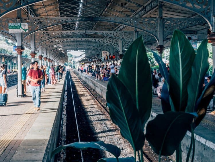 Sri Lanka – Eine Zugfahrt durch das Hochland