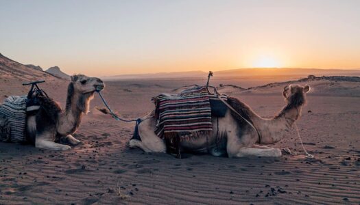 Zagora – das Tor zur Wüste Marokkos