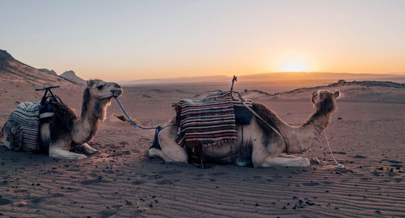 Zagora – das Tor zur Wüste Marokkos