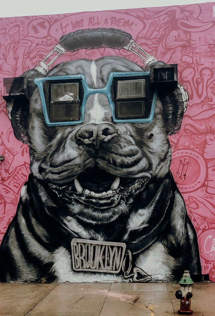 Graffiti & Street Art Walking Tour durch Bushwick in Brooklyn