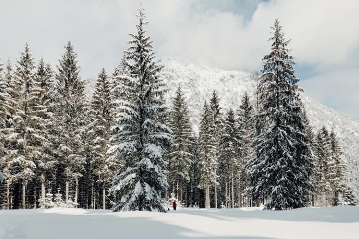 Wintererlebnis Tristenau – Winterwanderung mit Schneeschuhen im Naturpark Karwendel in Pertisau