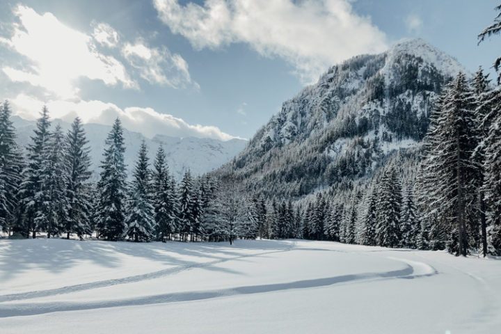 Wintererlebnis Tristenau – Winterwanderung mit Schneeschuhen im Naturpark Karwendel in Pertisau