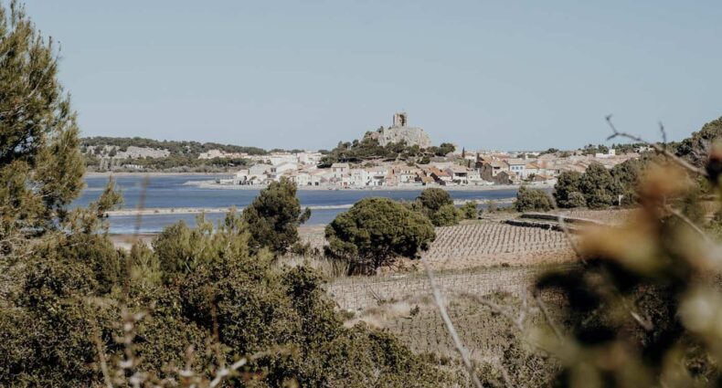 Languedoc-Roussillon: Geheimtipps & Lieblingsorte