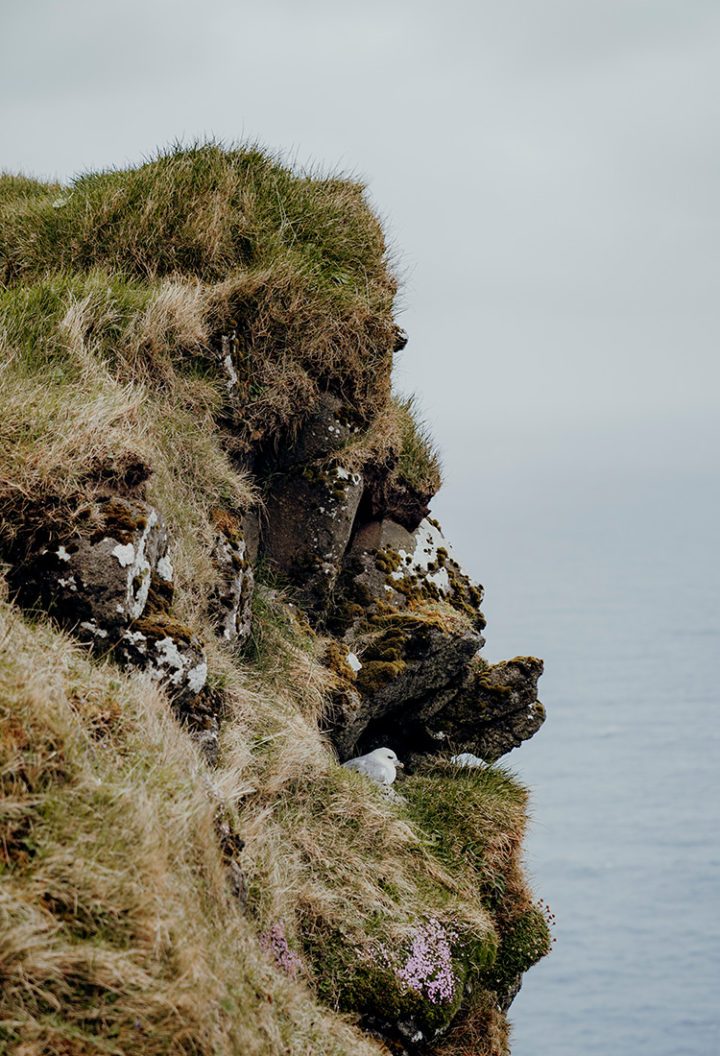 Wandern auf den Färöer Inseln – Wanderung zu den Vogelklippen in Gjógv