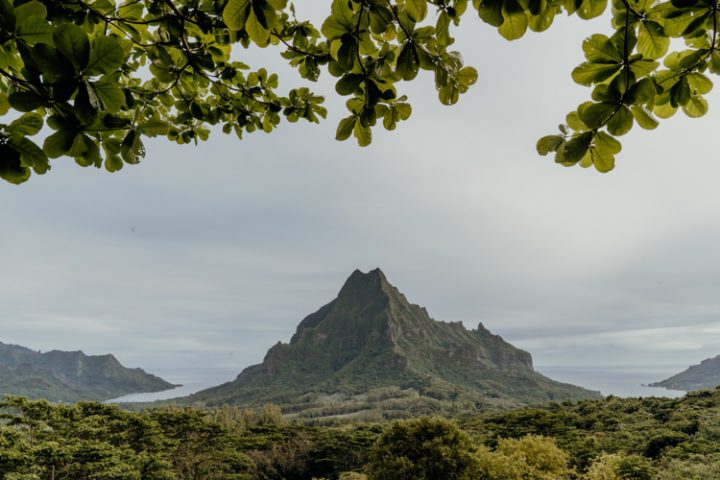 Belvedere Lookout Moorea Französisch Polynesien