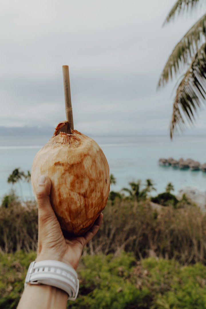 Polynesische Spezialitäten: Coco Glacée – frische eisgekühlte Kokosnuss