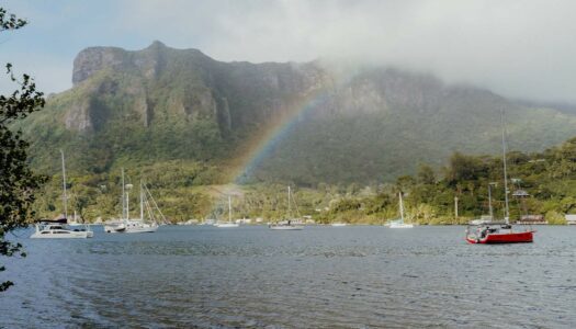 Moorea – Meine Tipps für den Urlaub im Herz Französisch Polynesiens