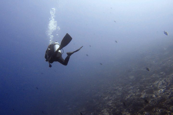 Tauchen auf Tikehau – die faszinierende Unterwasserwelt der Tuamotu Inseln