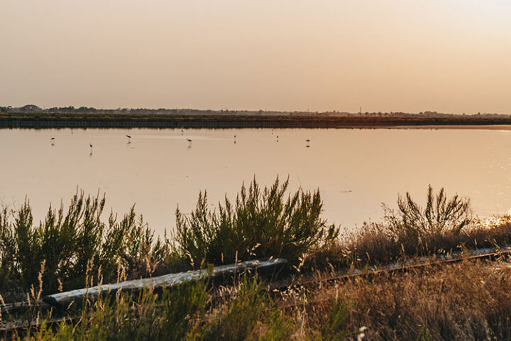 Salina Camillone, Cervia, Italien