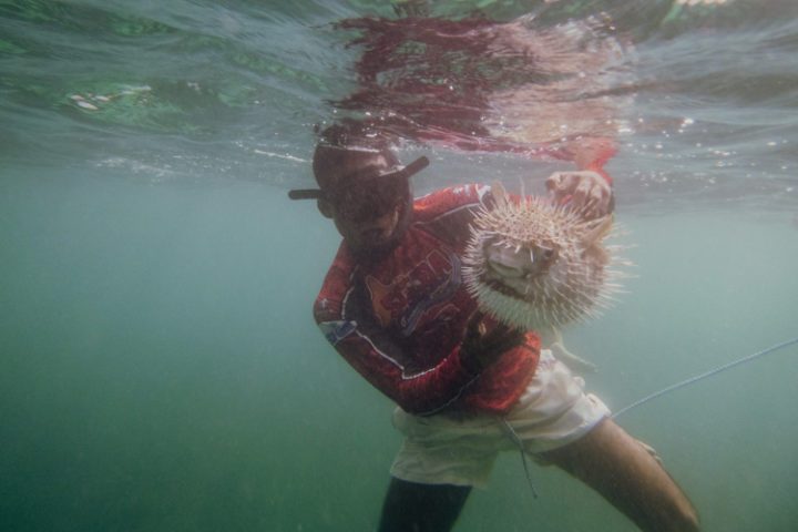 Schnorcheln auf der Isla Grande – Islas del Rosario – Kolumbien