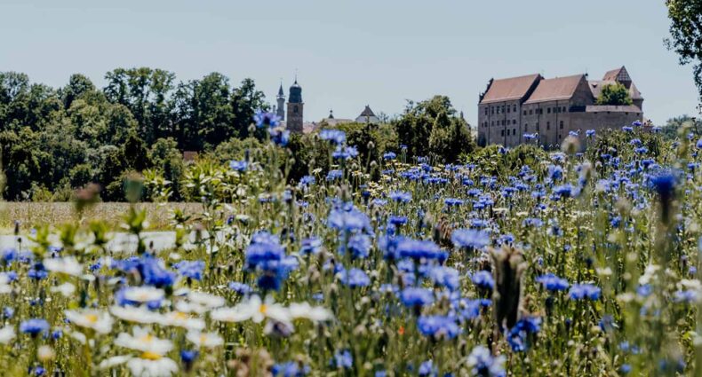 Erlebnisradweg Hohenzollern – auf den Spuren der Hohenzollern in Franken