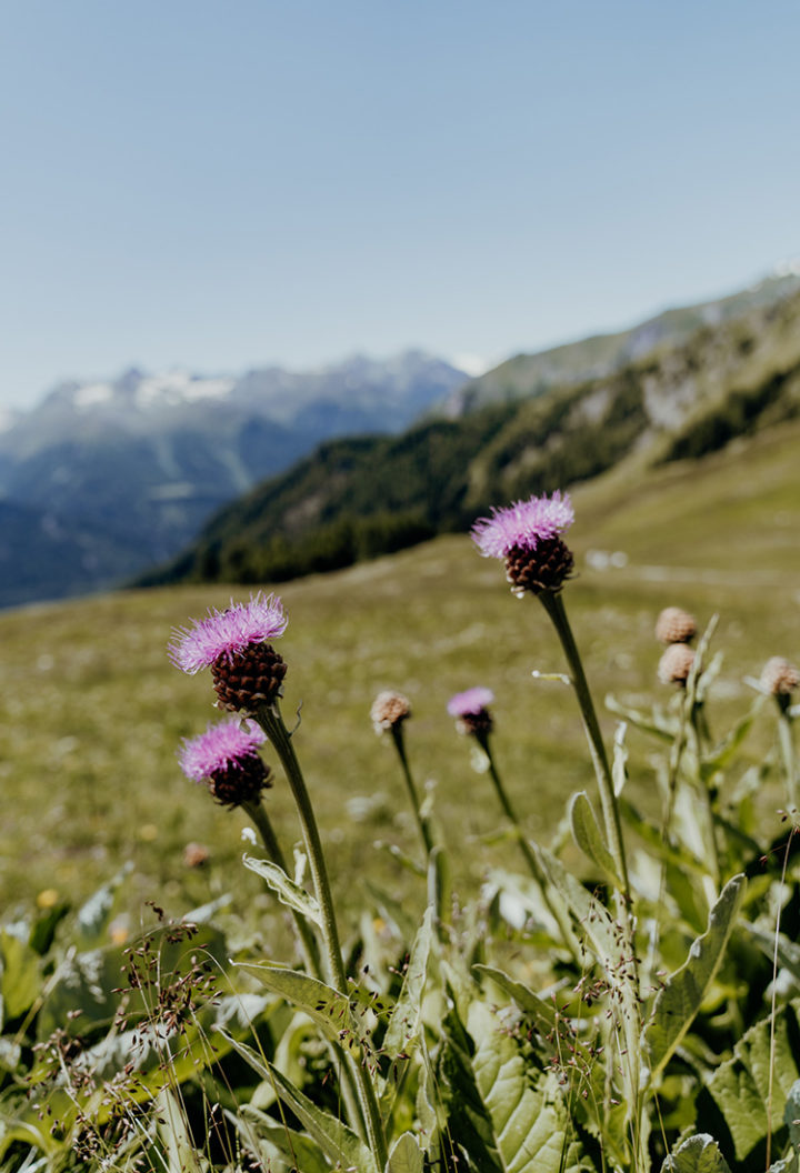 Entdecke die schönsten Wanderwege im Unterengadin Graubünden