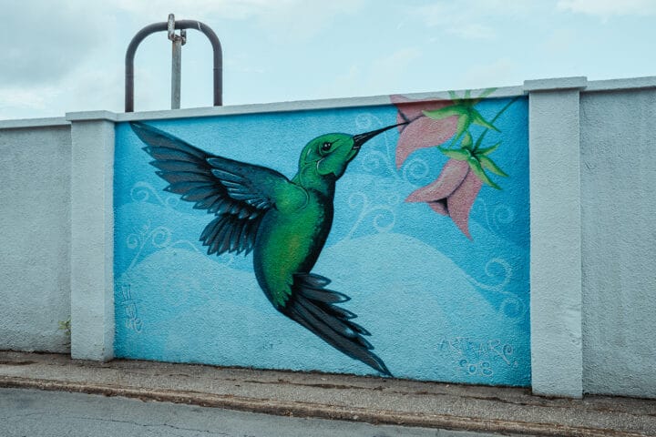 Street Art in San Nicolas Aruba