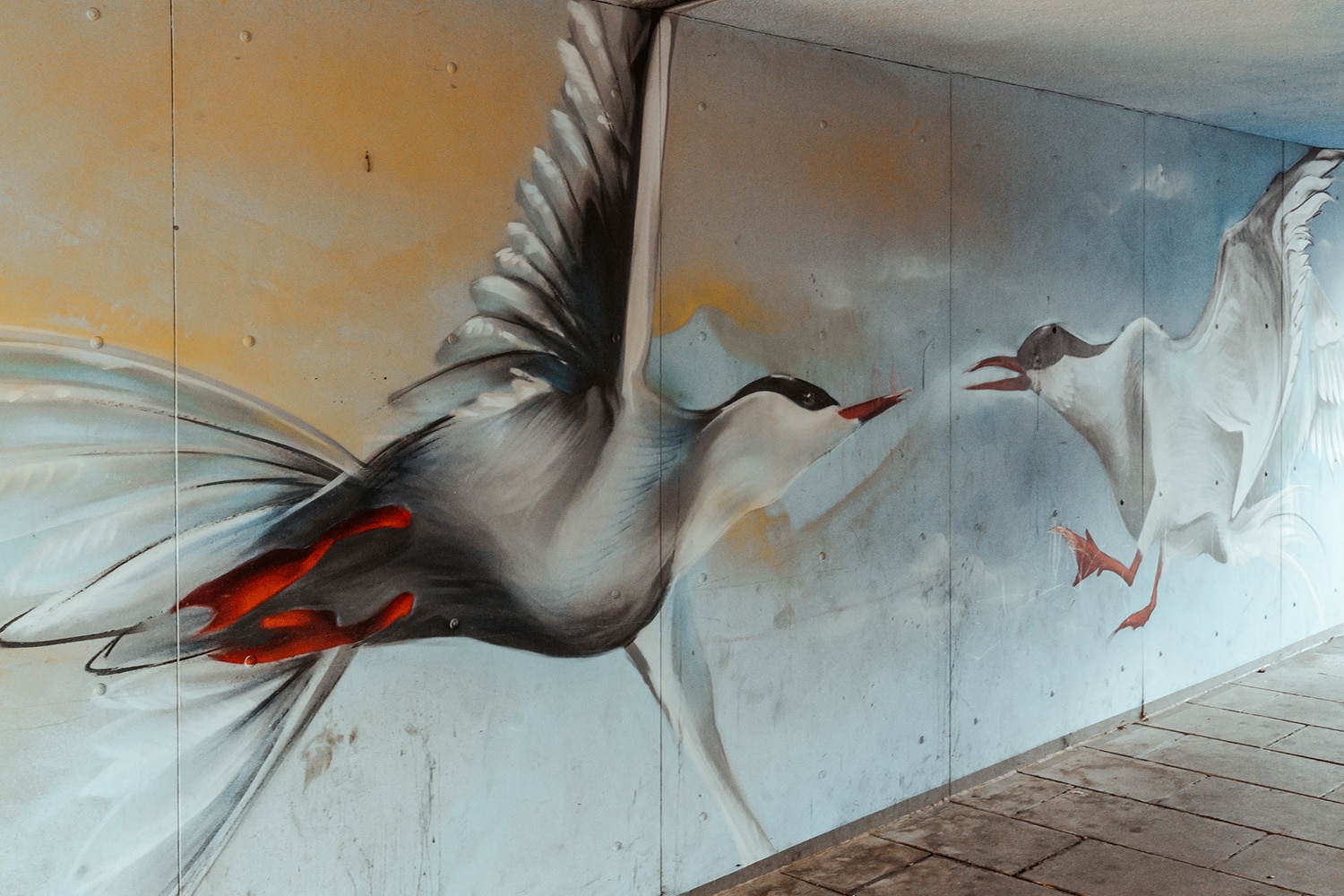 BETONLIEBE – Streetart Tour durch Langwasser - Nürnberg