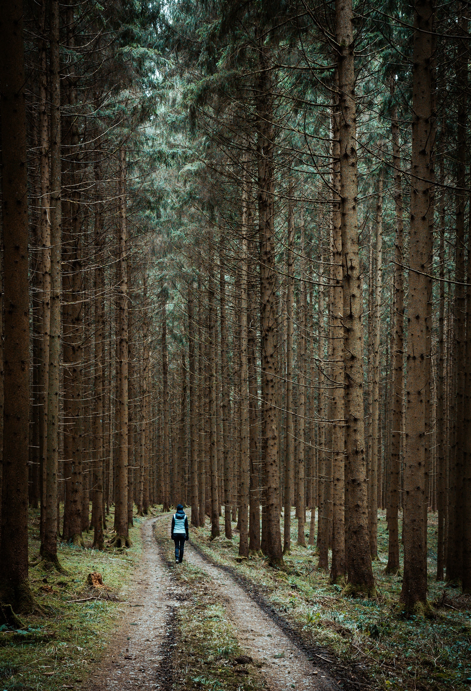 Wanderung im Naturpark Augsburg - Westliche Wälder